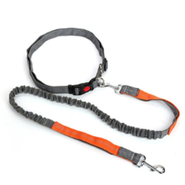 KFX-5717949 Elastic Traction Rope Dog Leash with Waistband and Reflective Strip for Hands-Free Walking and Jogging