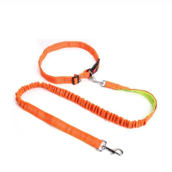 KFX-5717949 Elastic Traction Rope Dog Leash with Waistband and Reflective Strip for Hands-Free Walking and Jogging