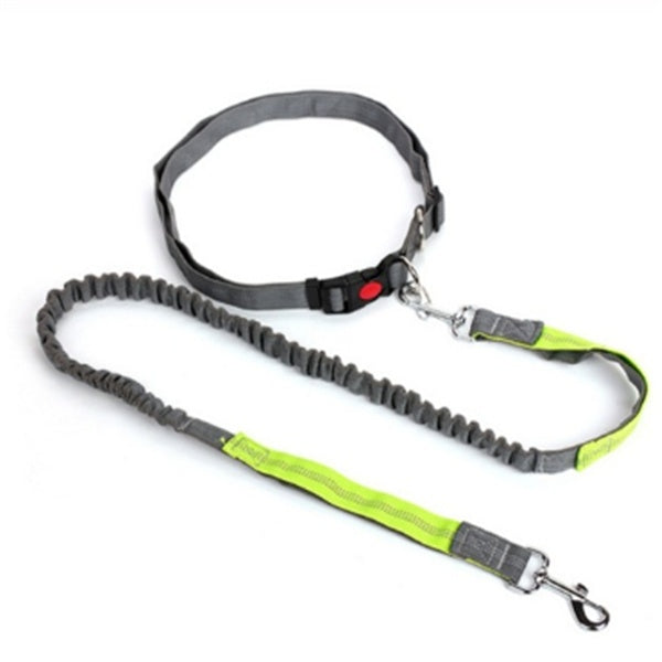 KFX-5717949 Elastic Traction Rope Dog Leash with Waistband and Reflective Strip for Hands-Free Walking and Jogging