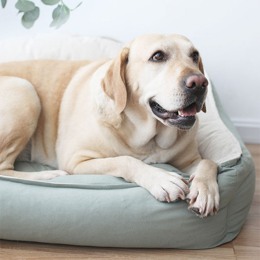 KFX-5723965 Versatile Removable Washable Pet Mat for Small to Extra Large Dogs - Suede and Linen Design
