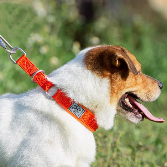 KFX-5725885 Durable Nylon Dog Walking Collar - Reflective Options in Multiple Colors & Sizes