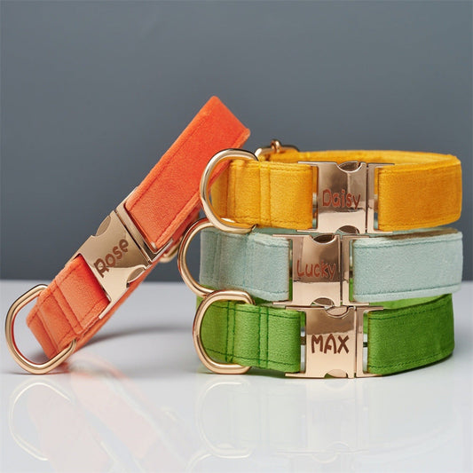 KFX-5731645 Striped Dog Collar with Leash - Available in Coral Orange, Light Water Green, Corn Yellow, Apple Green