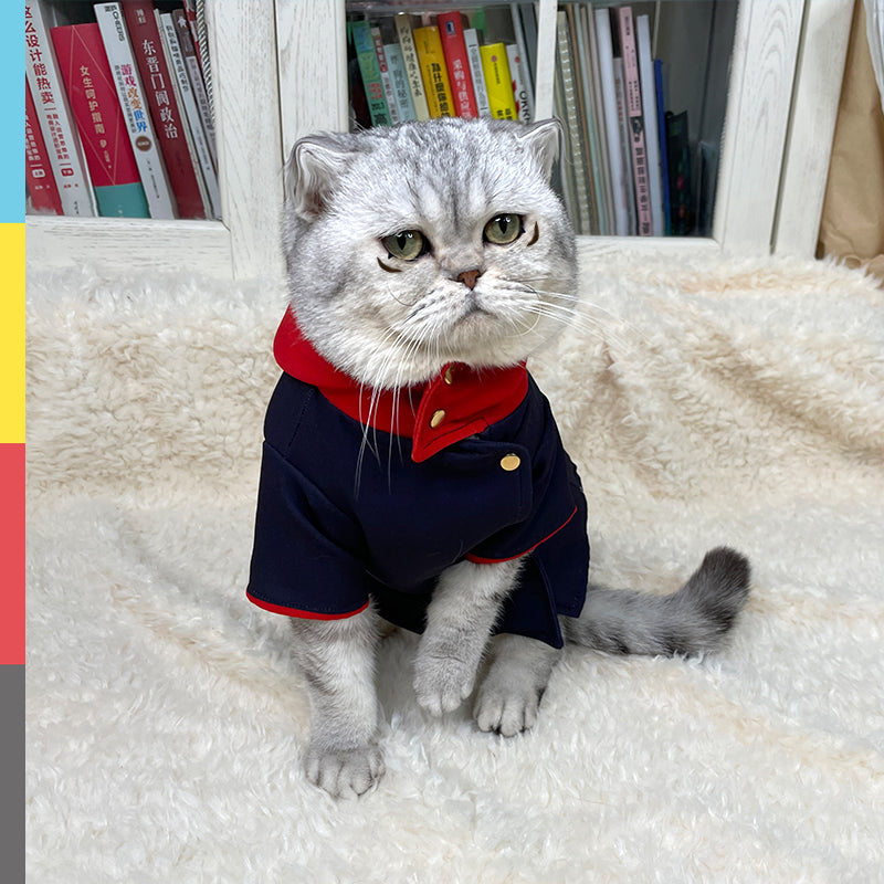 KFX-5734717 Universal Cat and Dog Hoodie Photo Props in Polygonum Cuspidatum Color, Small and Medium Sizes Available