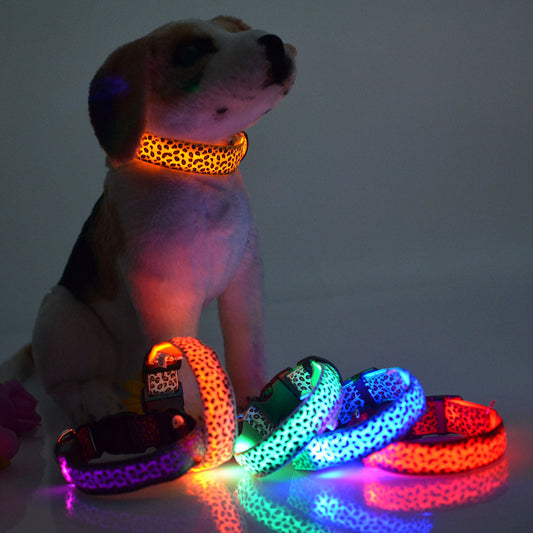 KFX-5737405 Rechargeable LED Dog Collar for Safety and Visibility at Night
