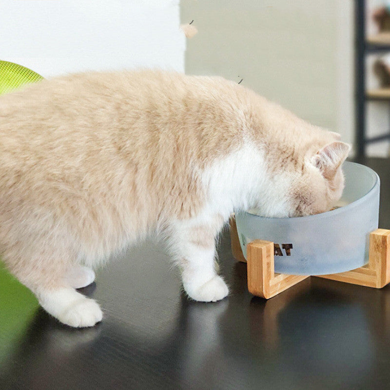 KFX-5741373 Oblique Glass Bowl for Cats and Dogs - High Borosilicate Glass, 164x98 mm, Anti-Tipping Design