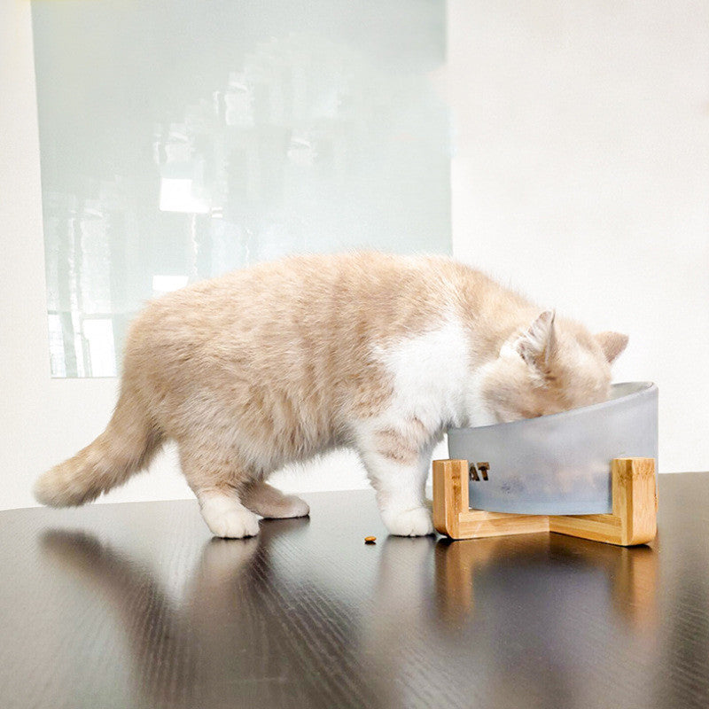 KFX-5741373 Oblique Glass Bowl for Cats and Dogs - High Borosilicate Glass, 164x98 mm, Anti-Tipping Design