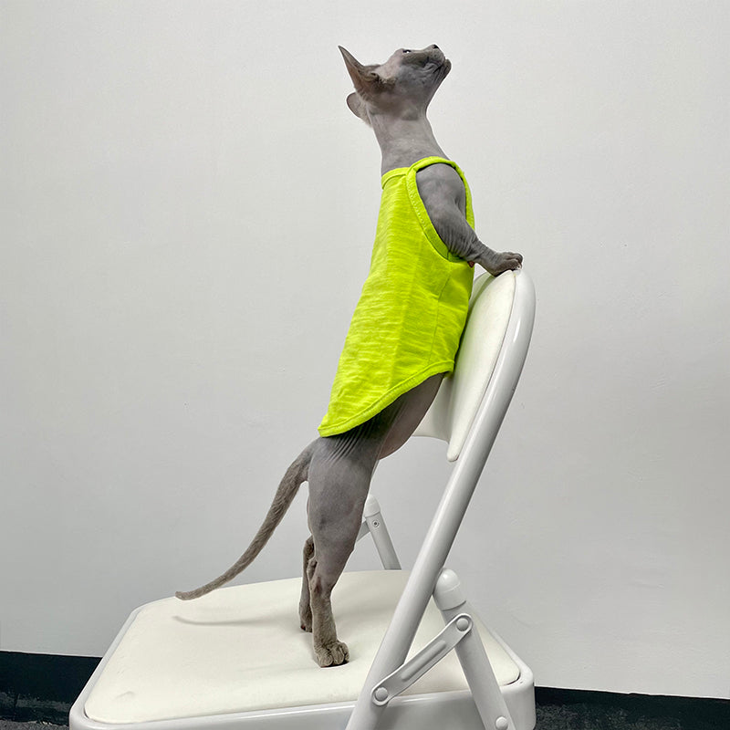KFX-5741757 Stylish Seven Color Cotton Camisole Vest for Hairless Cats
