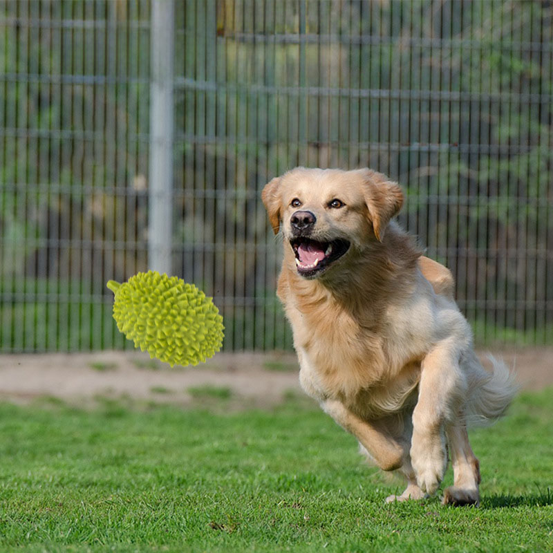 KFX-5754173 Durian-Shaped Chew Toy for Dogs - Squeaky Dental Toy for Small to Medium Pets, Milk-Flavored, Teeth Cleaning and Training
