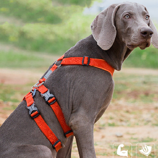 KFX-5755965 Nylon Dog Lead with Chest Strap for Comfortable Control - Available in Multiple Colors