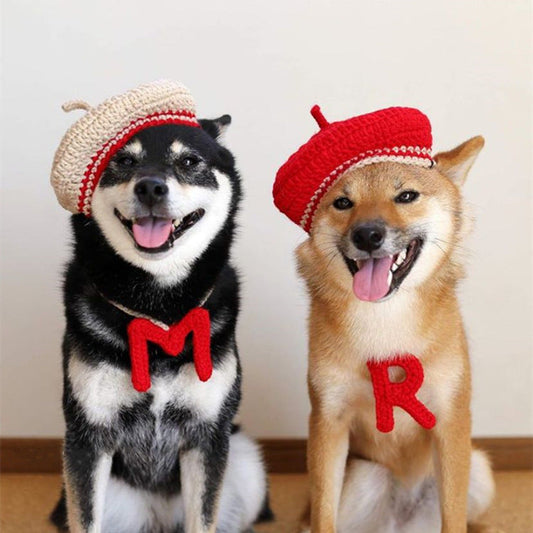 KFX-5761469 Hand-Knitted Mixed Color Beret for Pets - Wool Dog Hat and Collar Set