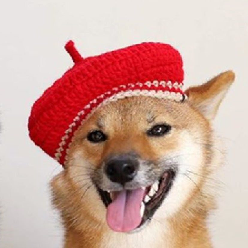 KFX-5761469 Hand-Knitted Mixed Color Beret for Pets - Wool Dog Hat and Collar Set