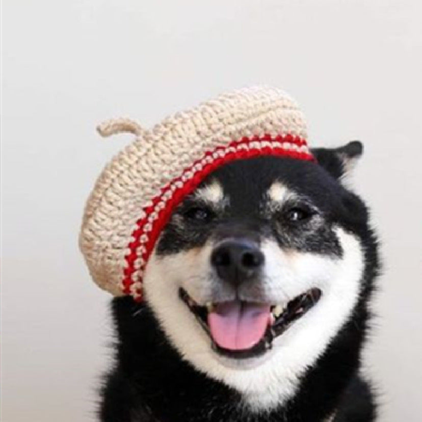 KFX-5761469 Hand-Knitted Mixed Color Beret for Pets - Wool Dog Hat and Collar Set