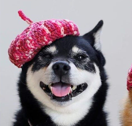 KFX-5761469 Hand-Knitted Mixed Color Beret for Pets - Wool Dog Hat and Collar Set