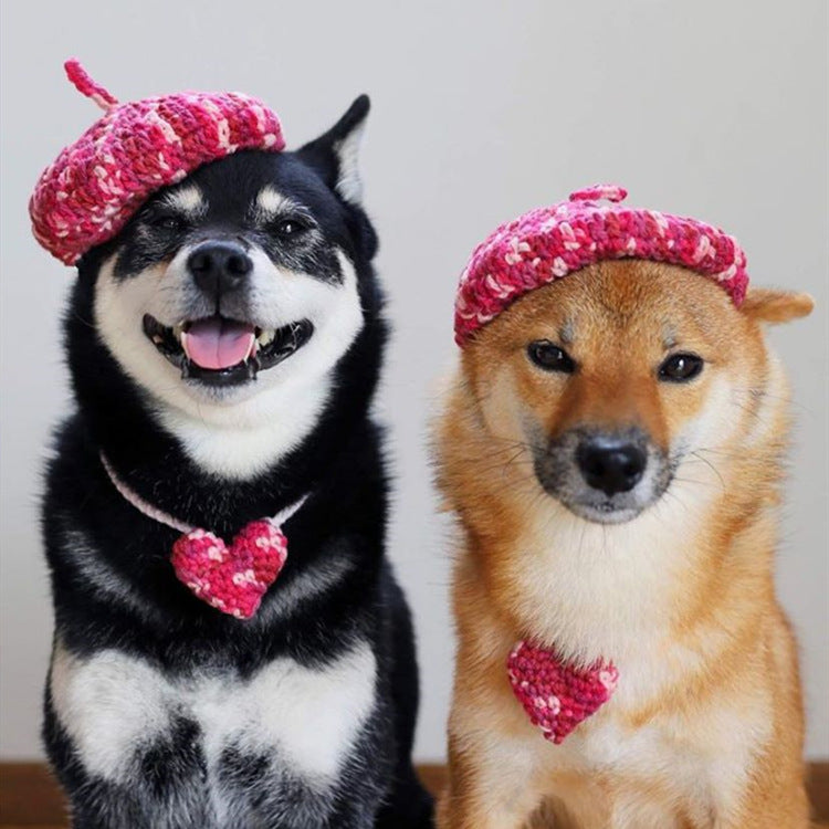 KFX-5761469 Hand-Knitted Mixed Color Beret for Pets - Wool Dog Hat and Collar Set