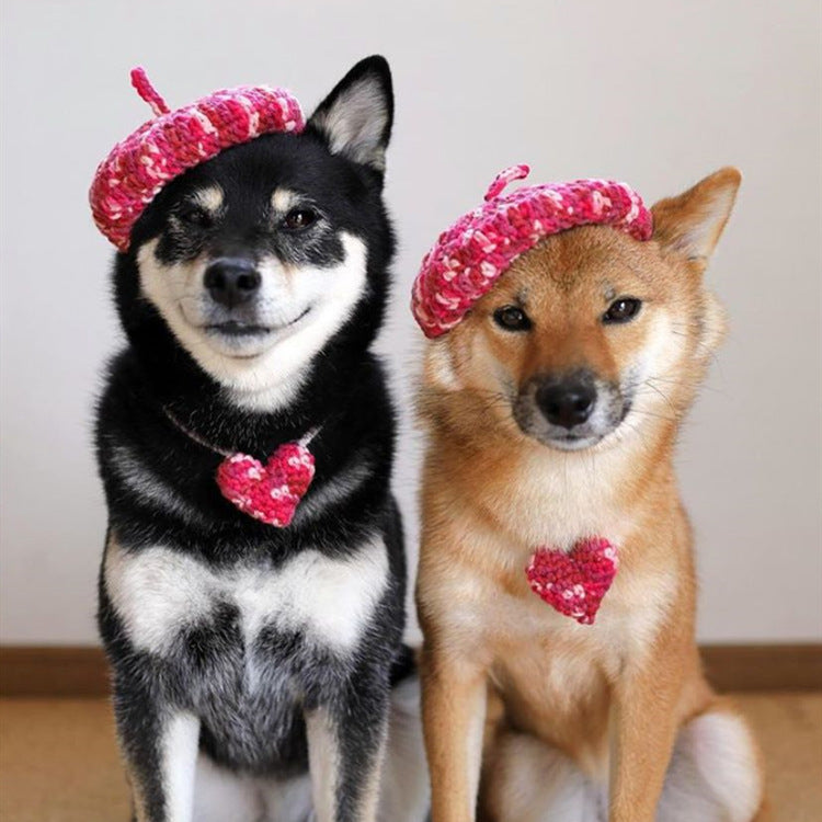 KFX-5761469 Hand-Knitted Mixed Color Beret for Pets - Wool Dog Hat and Collar Set