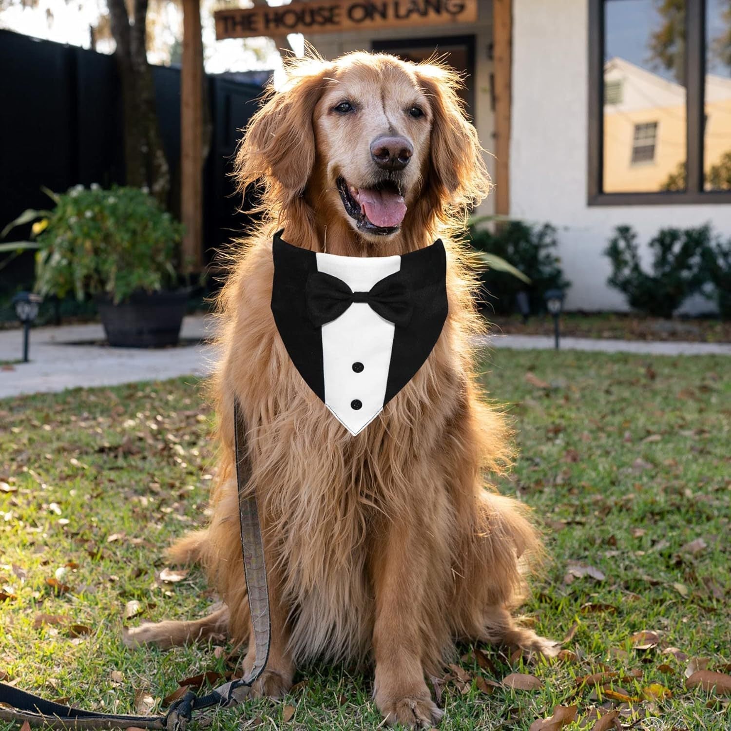 KFX-5764669 Adjustable Dog Tuxedo Suit with Bow Tie and Bandana for Weddings and Special Occasions