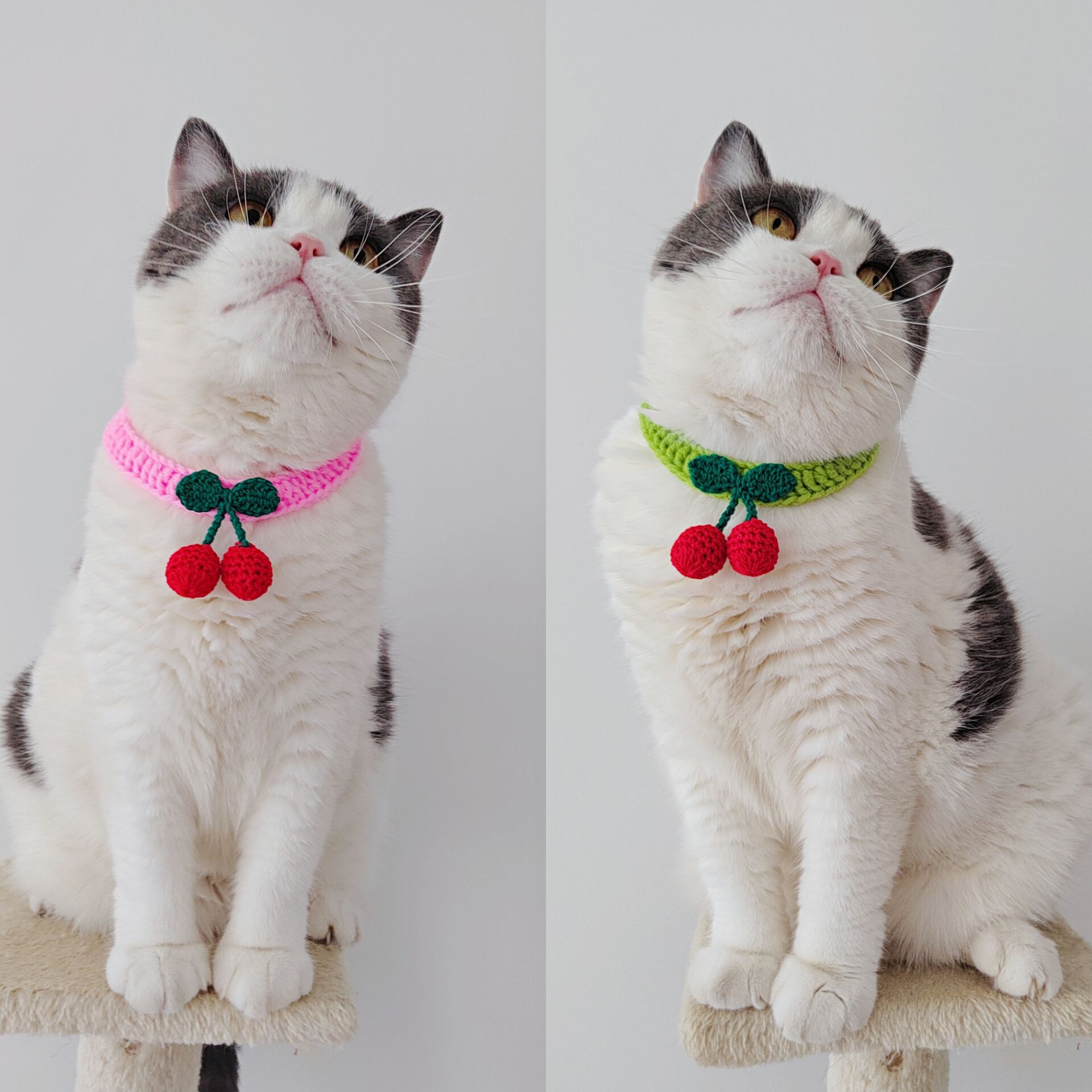 KFX-5775549 Handmade Knitted Wool Cat Collar in Fruit Patterns - Free Size, 60cm Length, Four Seasons Use
