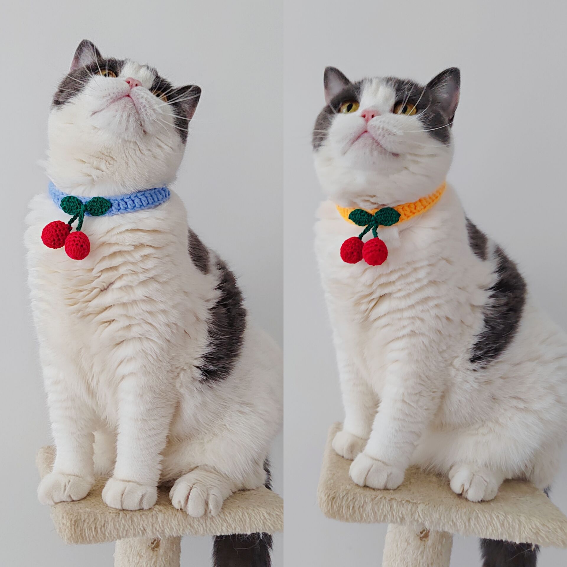 KFX-5775549 Handmade Knitted Wool Cat Collar in Fruit Patterns - Free Size, 60cm Length, Four Seasons Use