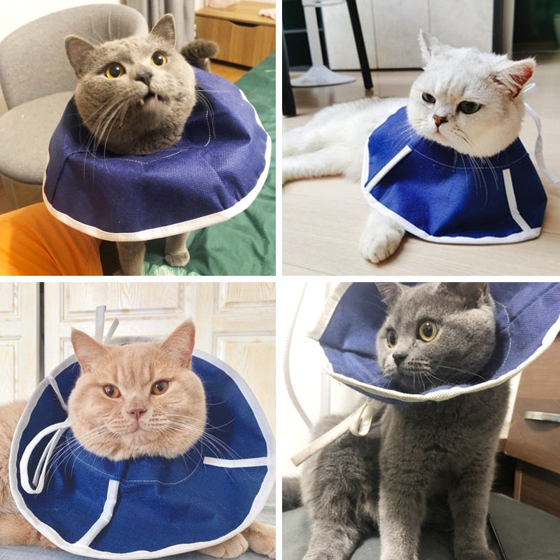 KFX-5775933 Anti-Licking Cat Headwear Turban - Medical Elizabeth Ring Style (Blue) for Cats, Sizes S & M