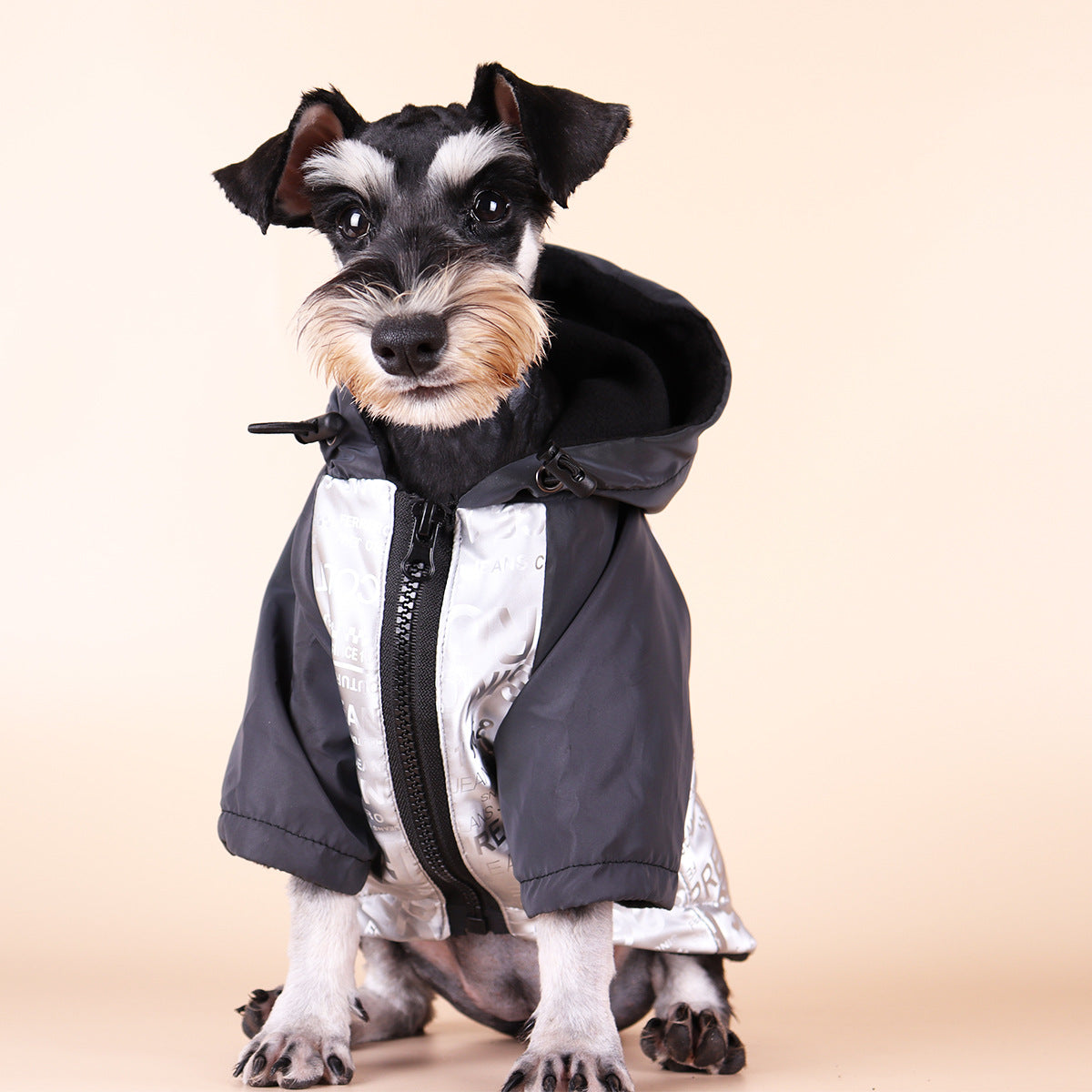 KFX-5776317 Reflective Raincoat for Dogs, Winter Warm Tide Jacket, Cotton, XS-2XL, Newspaper & Letters Design