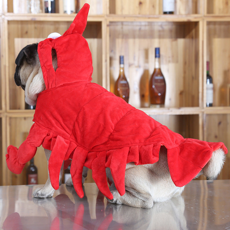 KFX-5782077 Red Aussie Dragon Pet Costume for Halloween - Sizes S, M, L, XL