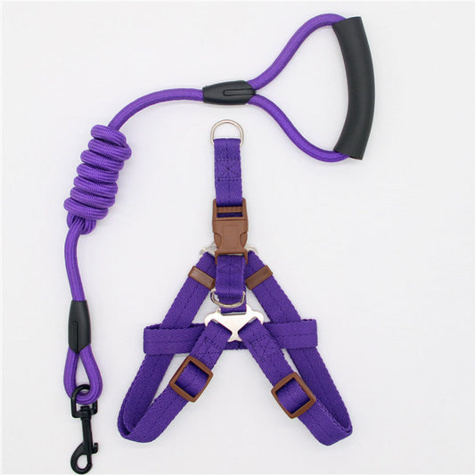 KFX-5785149 Nylon Dog Leash Available in Multiple Sizes and Colors