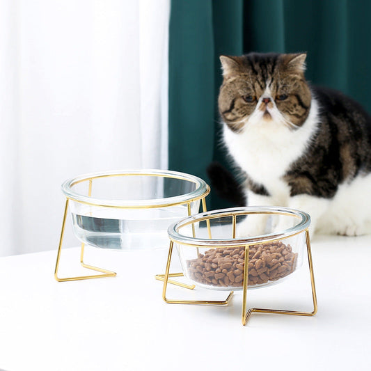 KFX-5789629 Tilted Glass Pet Bowl for Cats and Dogs - Available in Small 480ml and Large 800ml Sizes
