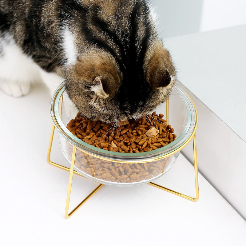 KFX-5789629 Tilted Glass Pet Bowl for Cats and Dogs - Available in Small 480ml and Large 800ml Sizes
