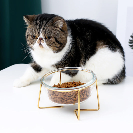 KFX-5789629 Tilted Glass Pet Bowl for Cats and Dogs - Available in Small 480ml and Large 800ml Sizes
