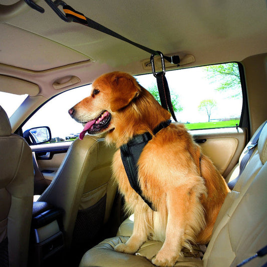 KFX-5792061 Pet Safety Belt – Dual-Purpose Car Traction Lanyard in Orange, Durable Nylon Material