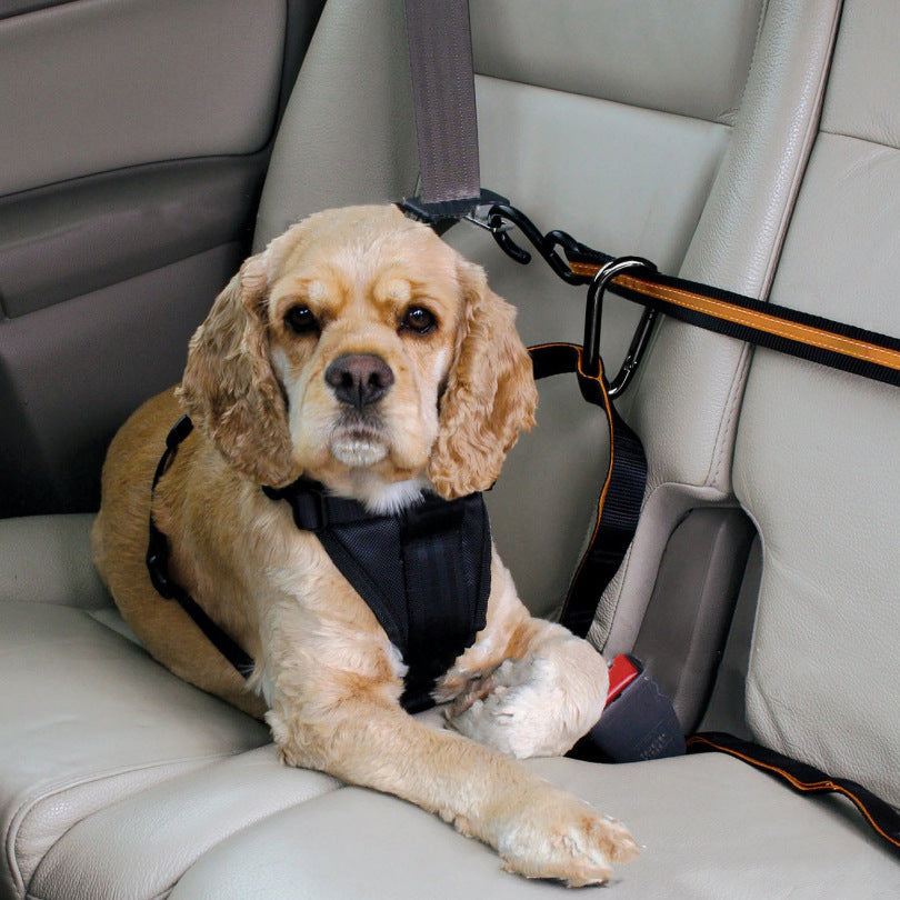 KFX-5792061 Pet Safety Belt – Dual-Purpose Car Traction Lanyard in Orange, Durable Nylon Material