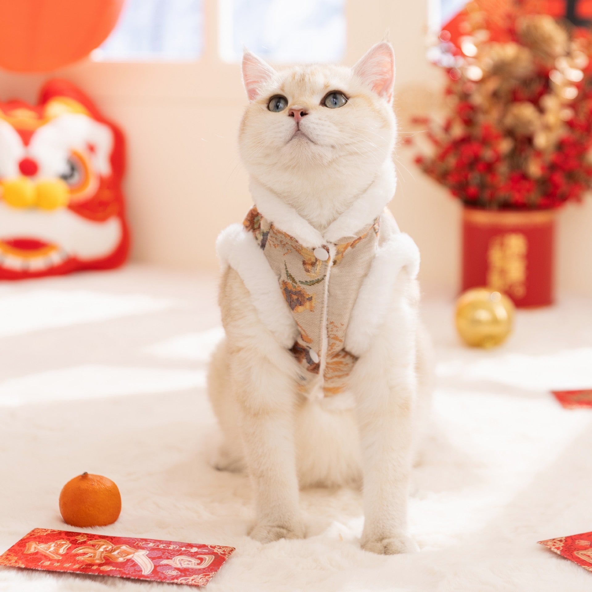 KFX-5793981 Festive Autumn Winter Fleece Two-Legged Coat for Small Dogs and Cats