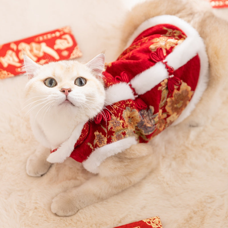KFX-5793981 Festive Autumn Winter Fleece Two-Legged Coat for Small Dogs and Cats