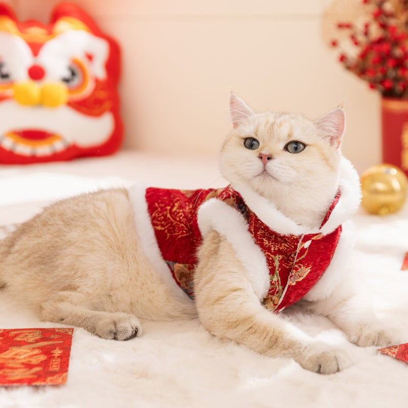KFX-5793981 Festive Autumn Winter Fleece Two-Legged Coat for Small Dogs and Cats