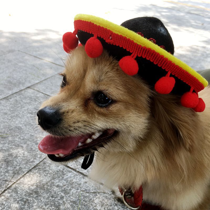 KFX-5794237 Pet Hat with Red Ball and Brown Lace Accent for Dogs