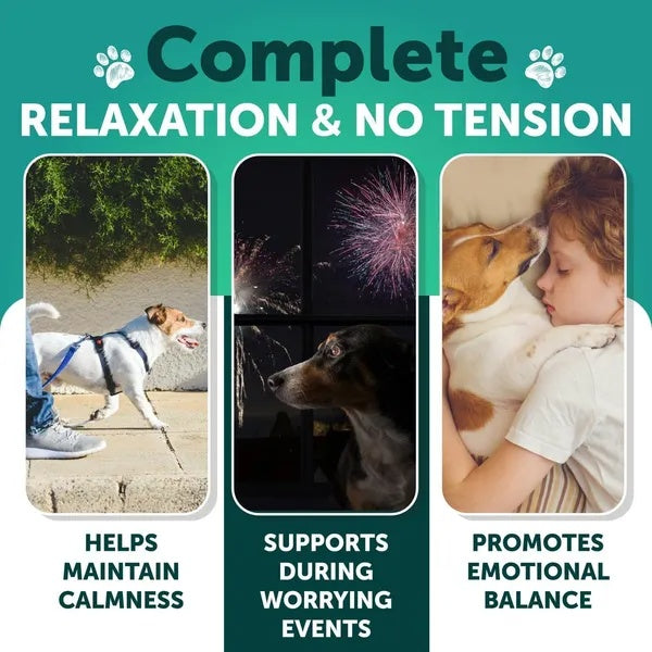 KFX-5795261 Hemp Calming Chews for Dogs - Anxiety Relief Treats with Natural Ingredients for Stress Reduction and Hip Support - 120 Count