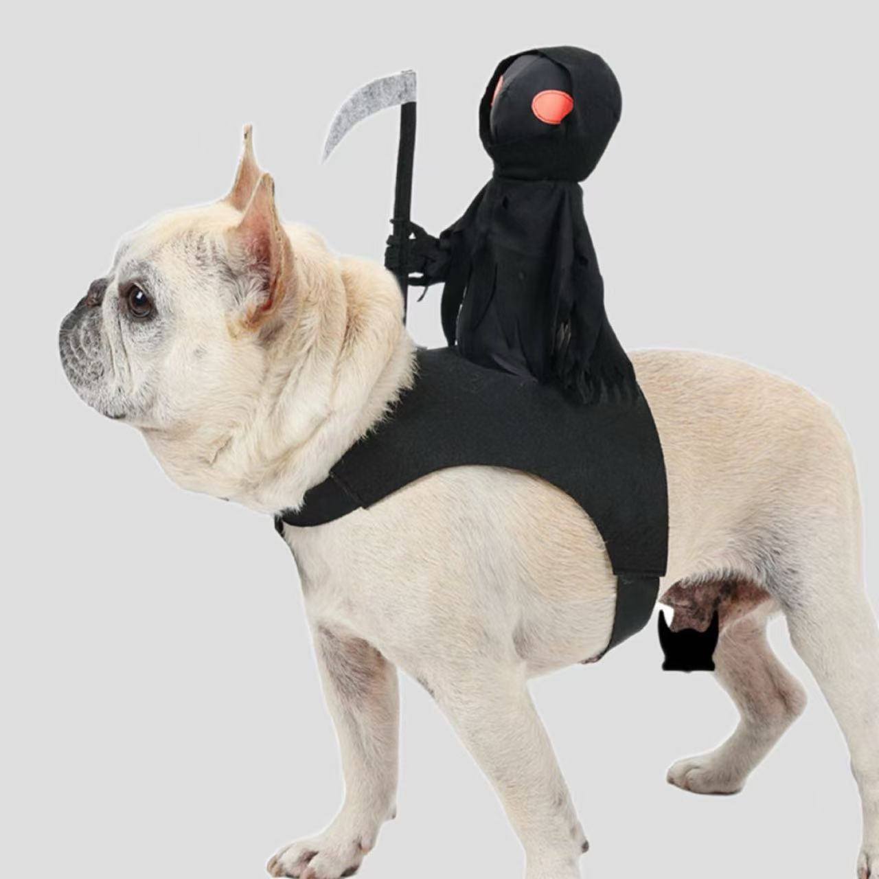 KFX-5805501 Cute Black Harvest Themed Riding Outfit for Pets - Sizes S, M, L - Polyester Material