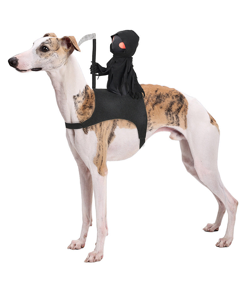 KFX-5805501 Cute Black Harvest Themed Riding Outfit for Pets - Sizes S, M, L - Polyester Material
