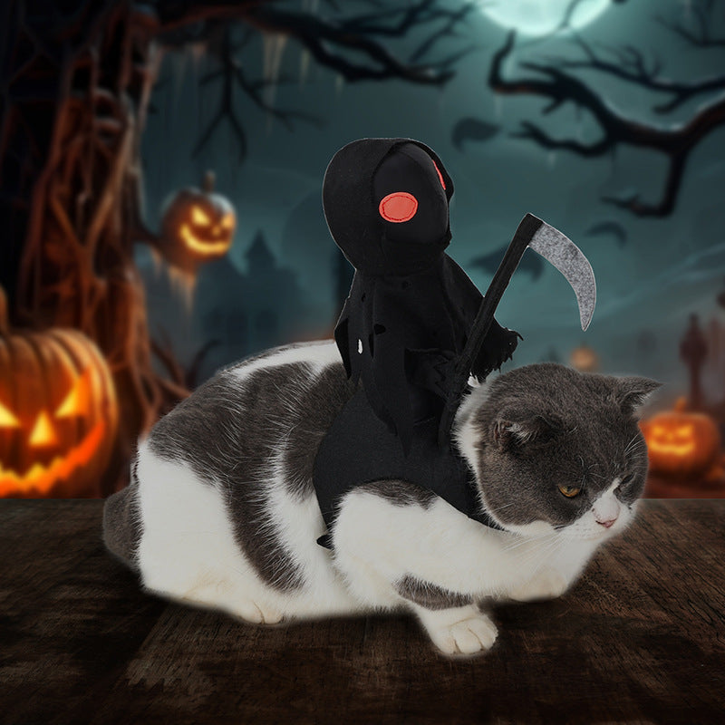 KFX-5805501 Cute Black Harvest Themed Riding Outfit for Pets - Sizes S, M, L - Polyester Material