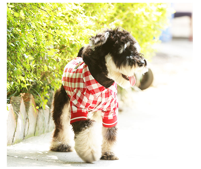 KFX-5807293 Red and White Plaid Cotton Leisure T-Shirt for Summer