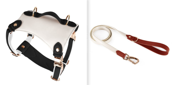 KFX-5809981 Leather Pet Vest with Lead Rope and Adjustable Chest Strap in Various Colors