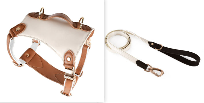 KFX-5809981 Leather Pet Vest with Lead Rope and Adjustable Chest Strap in Various Colors