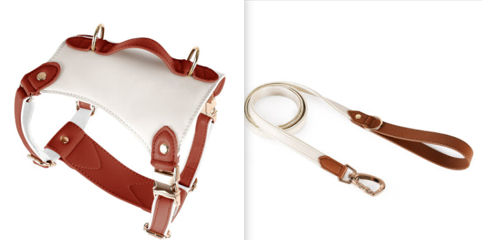KFX-5809981 Leather Pet Vest with Lead Rope and Adjustable Chest Strap in Various Colors