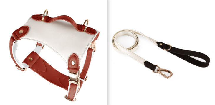 KFX-5809981 Leather Pet Vest with Lead Rope and Adjustable Chest Strap in Various Colors