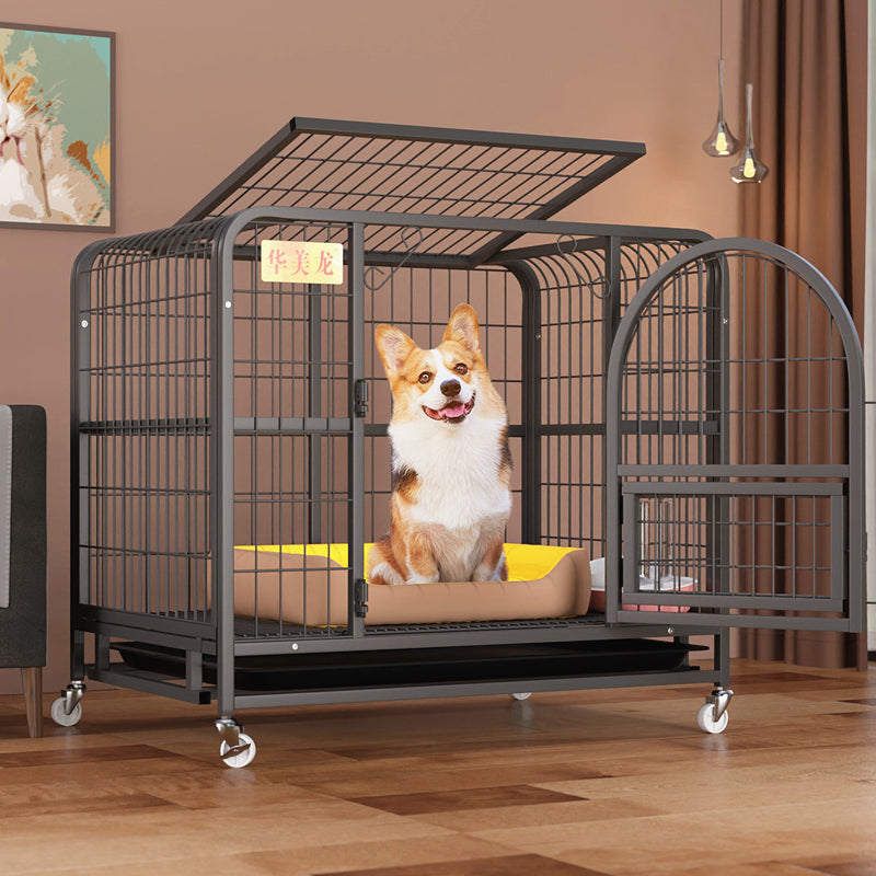 KFX-5812157 Indoor Fenced Corgi Kennel - Square Tube Design in White, Pink, or Black, 54x34x49cm