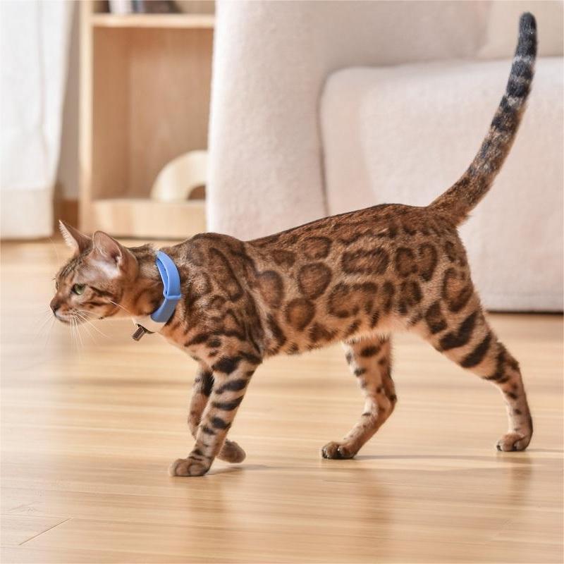 KFX-5812669 Laser Cat Collar in Black, Blue, Purple, Green – Casual Design with ABS Material