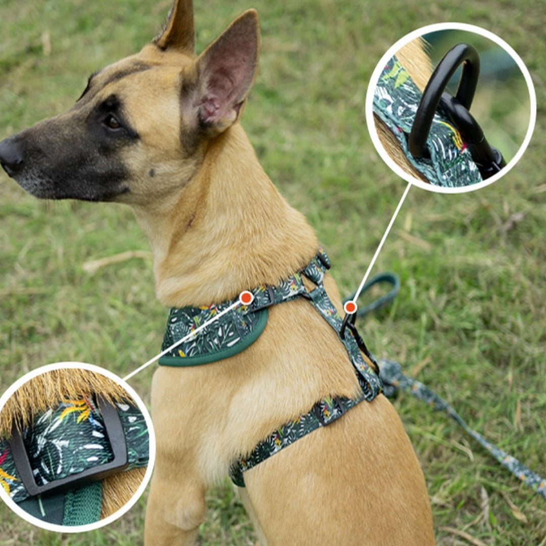 KFX-5815741 Adjustable Pet Harness Set with Leash, Collar, Bow, and Accessories
