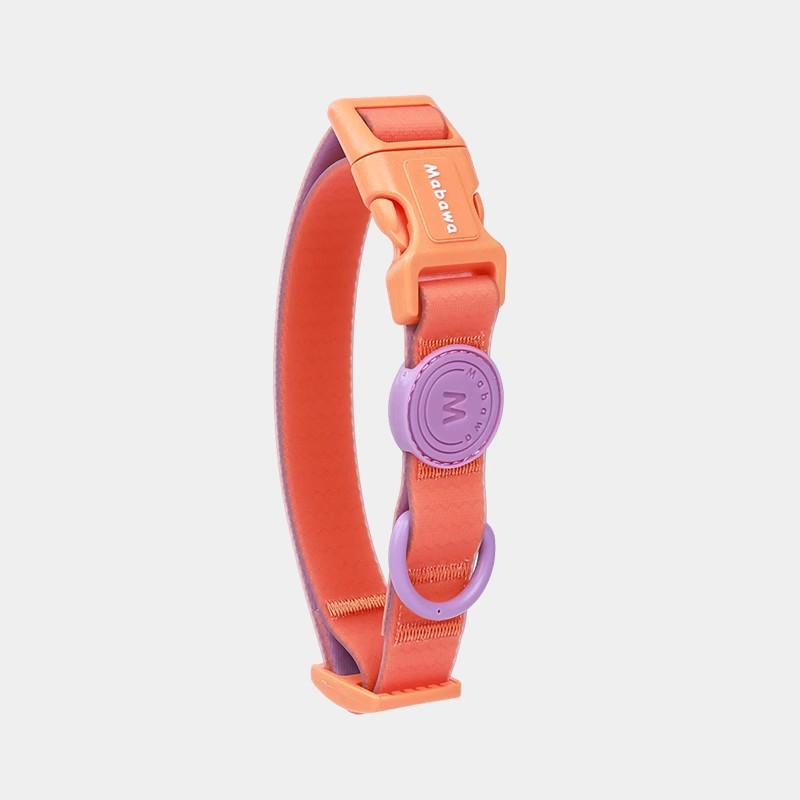 KFX-5818429 Waterproof Nylon Dog Collar with 1.5m Hand Holding Rope in Multiple Colors