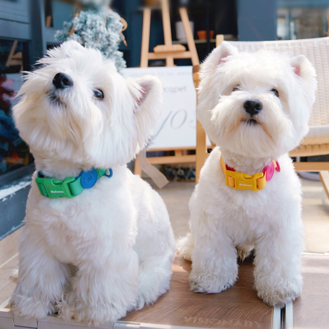 KFX-5818429 Waterproof Nylon Dog Collar with 1.5m Hand Holding Rope in Multiple Colors
