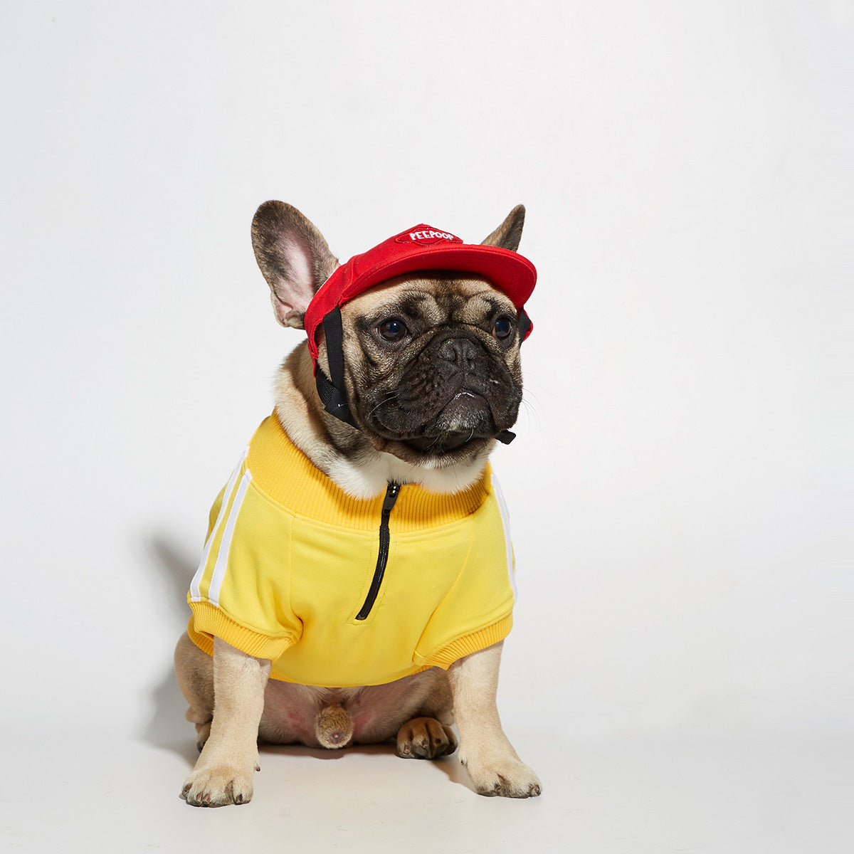 KFX-5820605 Cozy Polyester Dog Sweater with Size Options for All Breeds